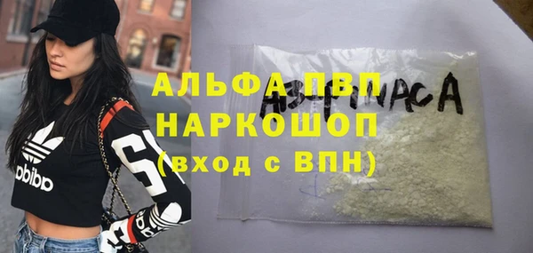ECSTASY Пересвет