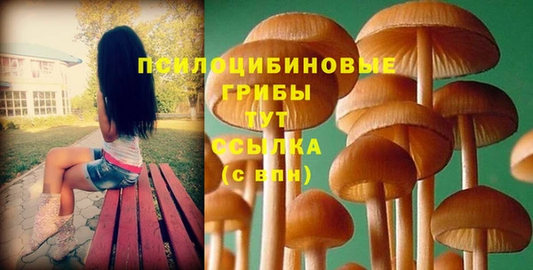 круглые Осташков