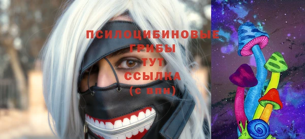 герыч Пестово