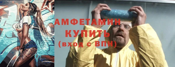 ECSTASY Пересвет